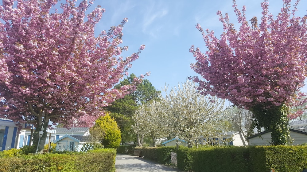 Camping Caravaning les Cerisiers Berck sur Mer — 4-Star Luxury Hotel in Verton, France