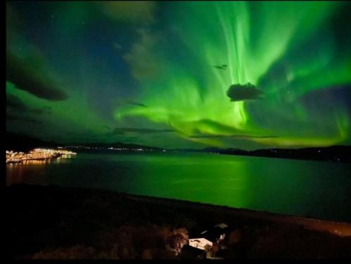 Høy standard. Mye for pengene. Gratis velkomstgave — 4-Star Luxury Hotel in Narvik, Norway