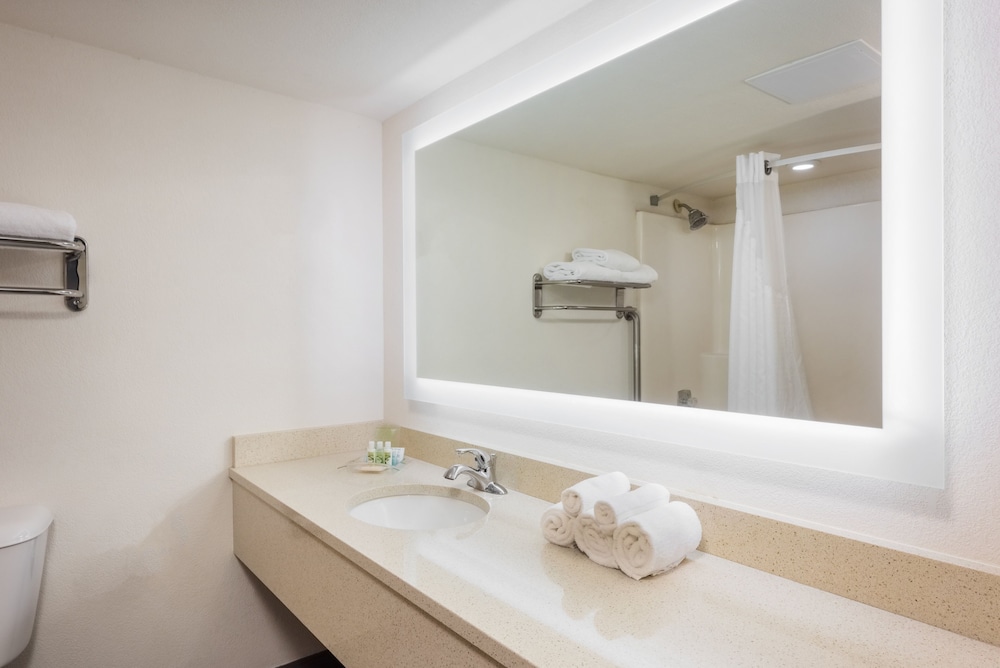 Holiday Inn St. Louis West Six Flags by IHG - photo 13