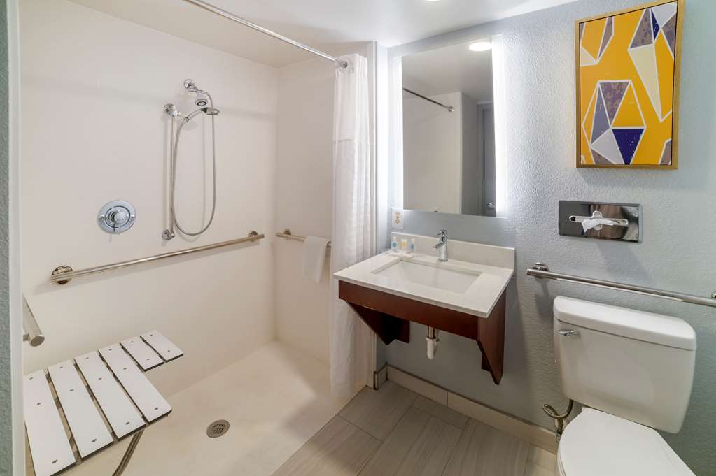 Comfort Inn Asheville Airport - photo 8