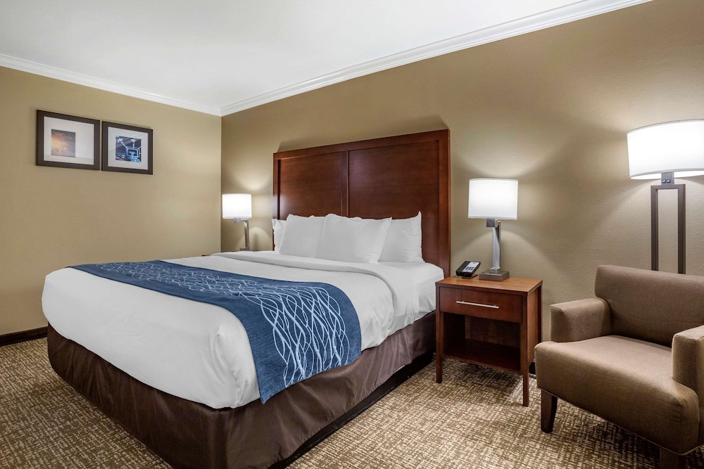 Comfort Inn Sunnyvale Silicon Valley - photo 13