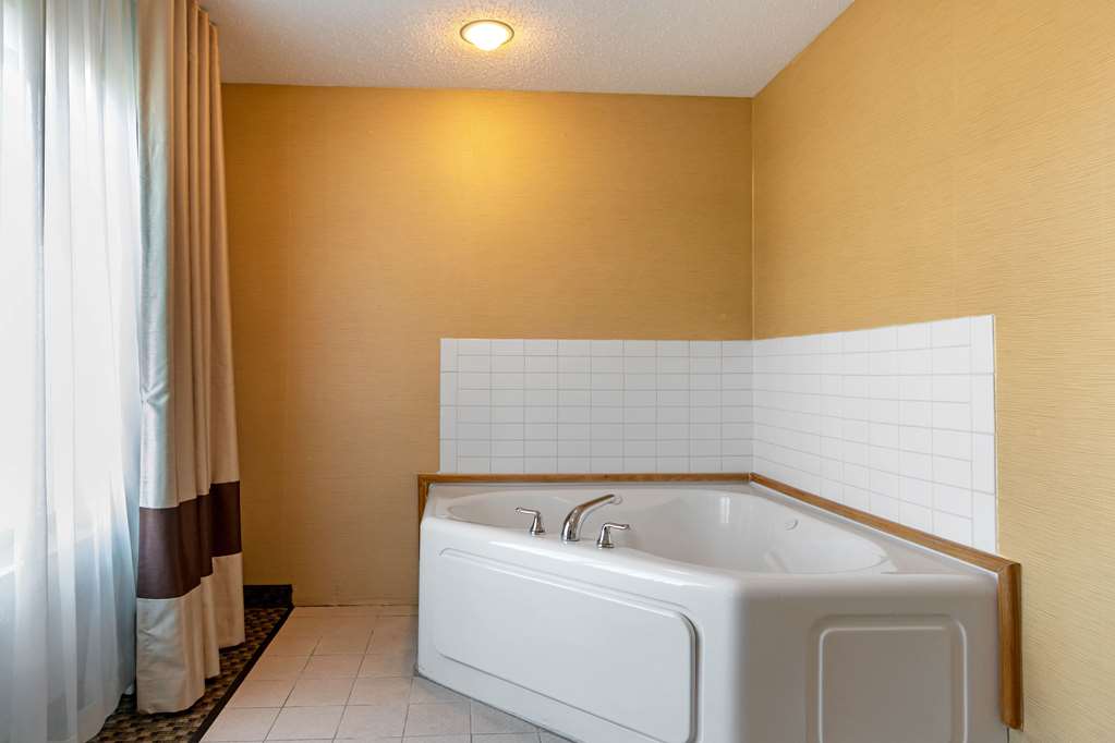 Comfort Suites South Haven near I 96 - photo 11