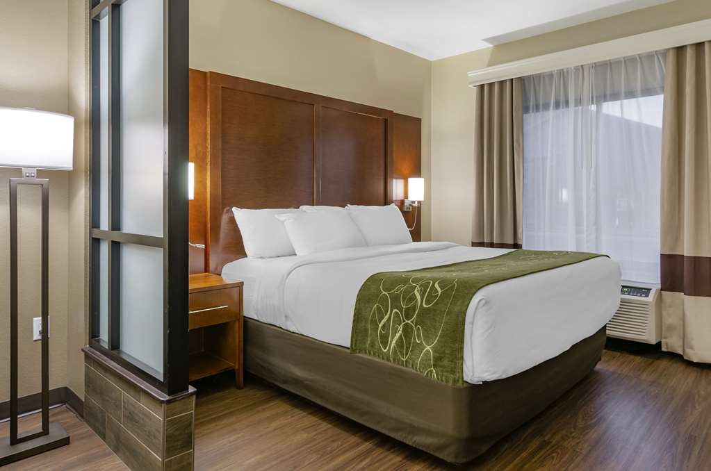 Comfort Suites Helena Airport - photo 8