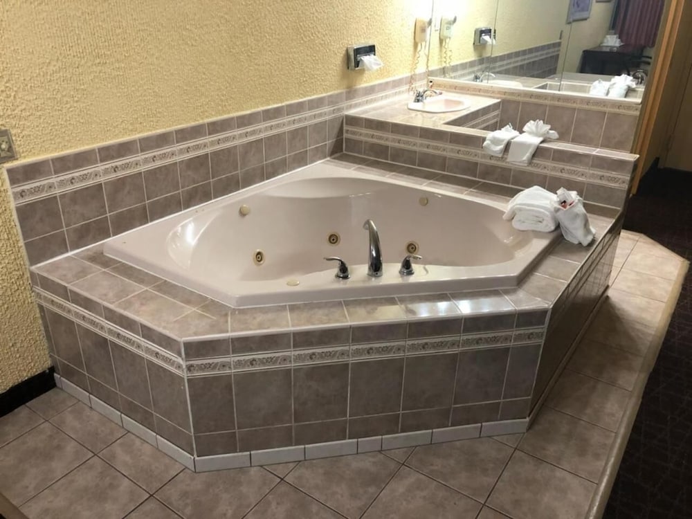 Schenectady Inn & Suites - photo 13