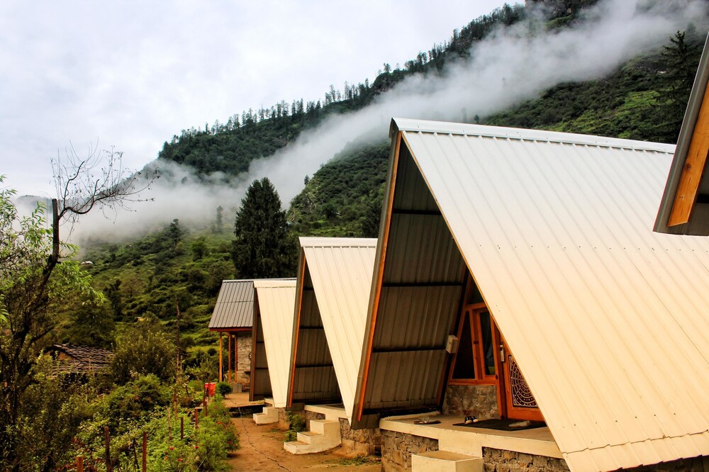 Stonedage Tosh — Kulu — photo 3