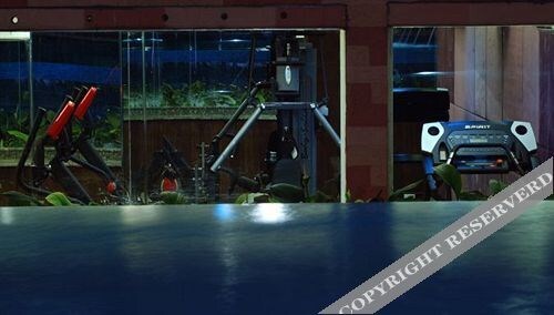 Lords Plaza - last minute hotel in Bengaluru