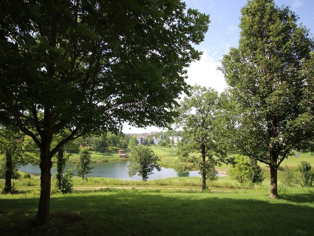 Daydreamer Beautiful Views & Location - photo 5