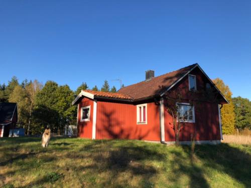 Schwedenhaus Alleinlage — Bergkvara