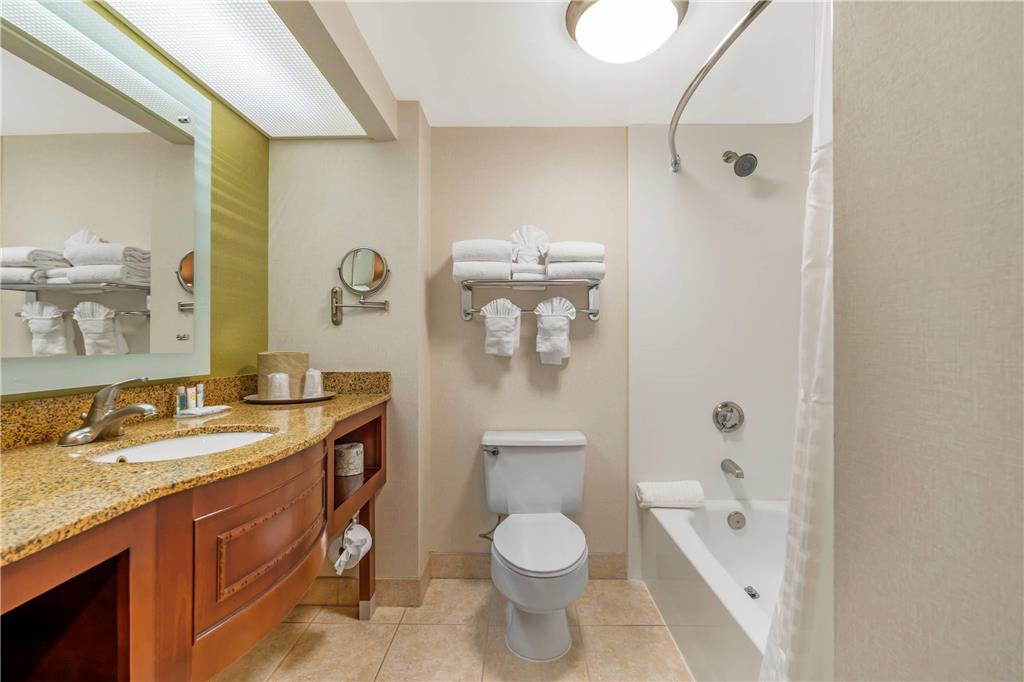 Comfort Inn Anaheim Resort - photo 8