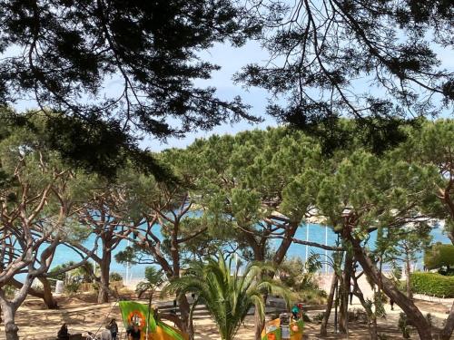 Les Pins - last minute hotel in Saint-Cyr-Sur-Mer