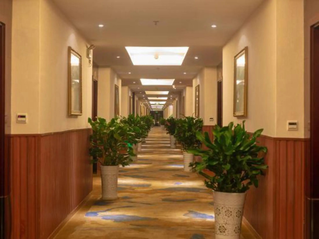 Masha Ladi Hotel - last minute hotel in Luzhou