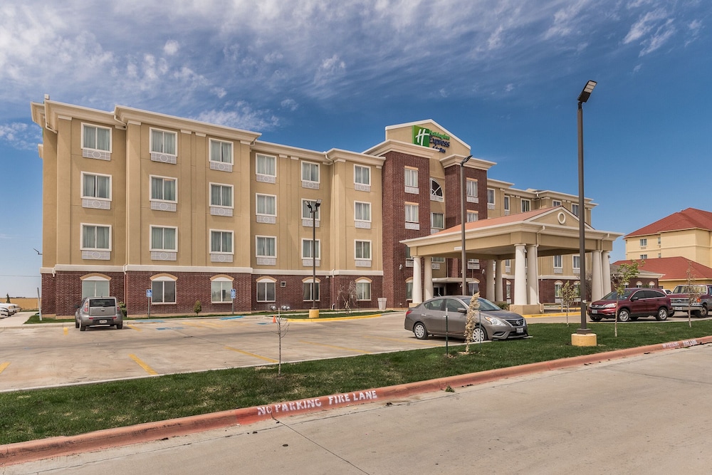 Holiday Inn Express Hotel & Suites Dumas by IHG - photo 47