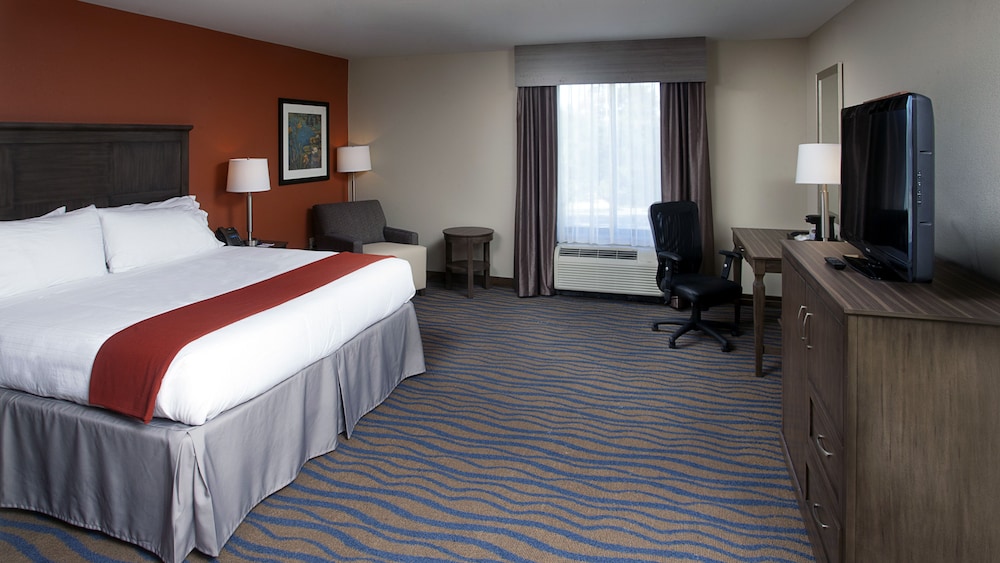 Holiday Inn Express Hotel & Suites Morgan City Tiger Island by IHG - photo 8