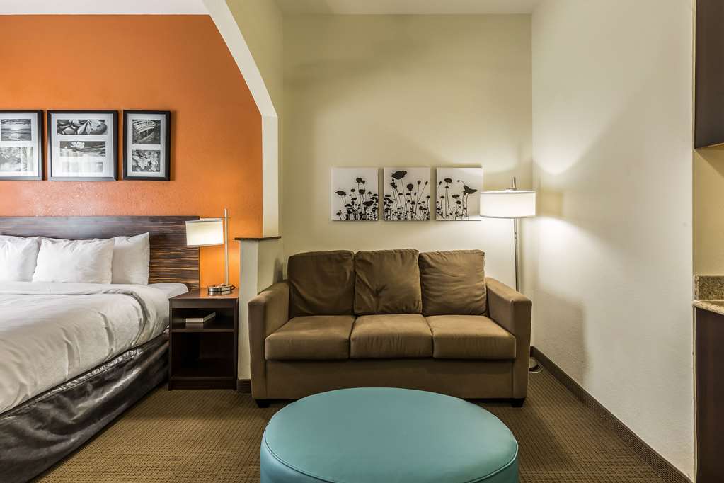 Sleep Inn & Suites Stafford Sugarland - photo 24