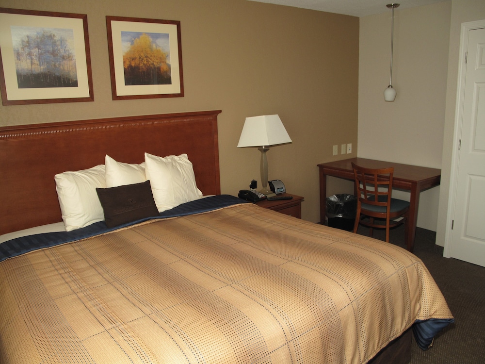 Candlewood Suites Elgin an IHG Hotel - photo 2