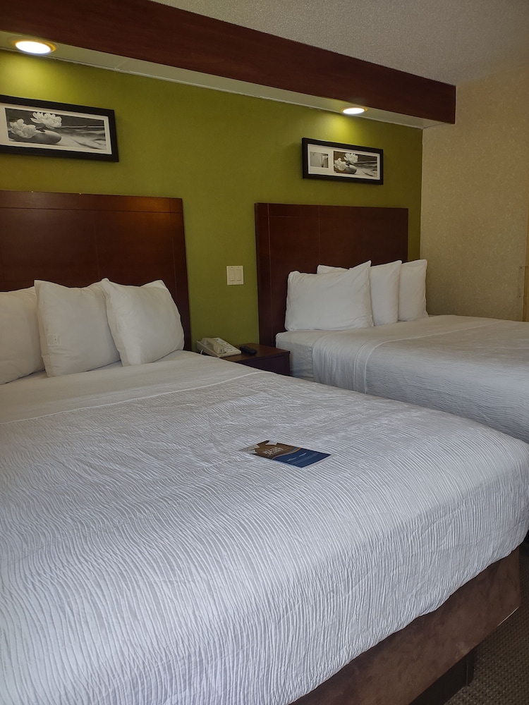 Baymont by Wyndham Flat Rock - photo 15