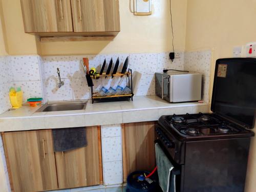 Flat in Central business district nairobi