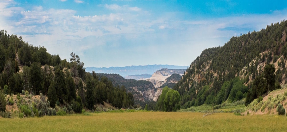 Boulder Mountain Guest Ranch - photo 91