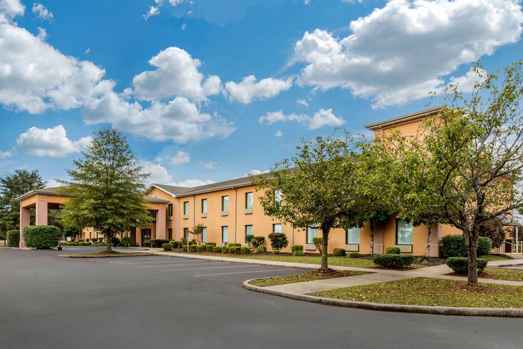 Quality Inn & Suites Benton Draffenville - photo 2