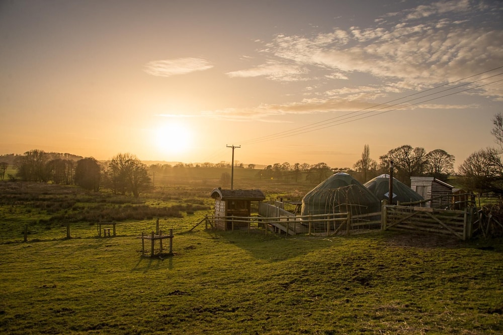 Mongolian Yurts Fordhall Organic Farm in Market Drayton, United Kingdom