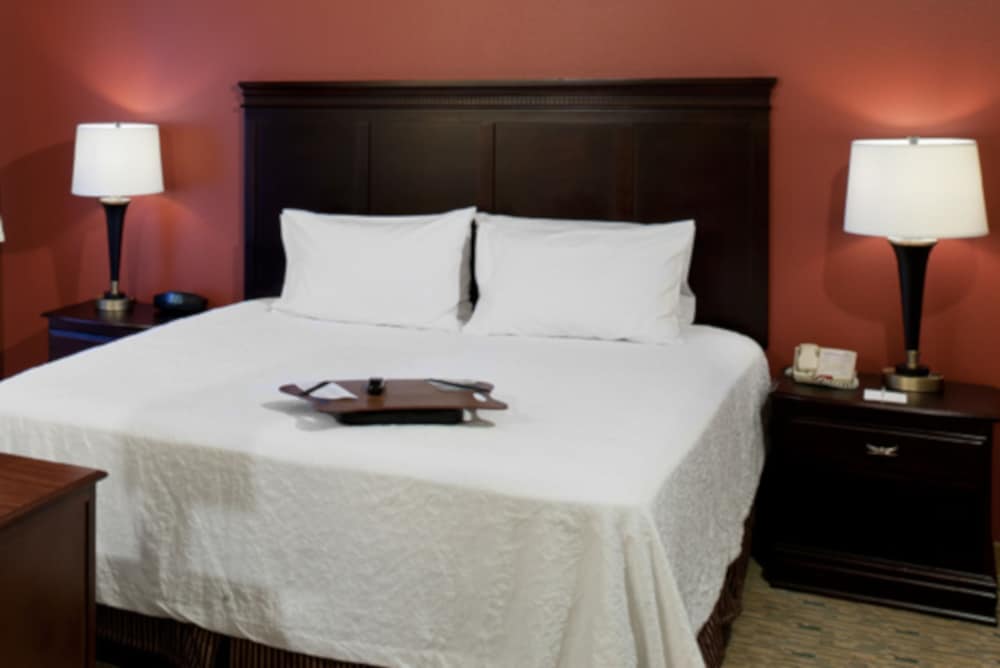 Hampton Inn & Suites Texarkana - photo 8