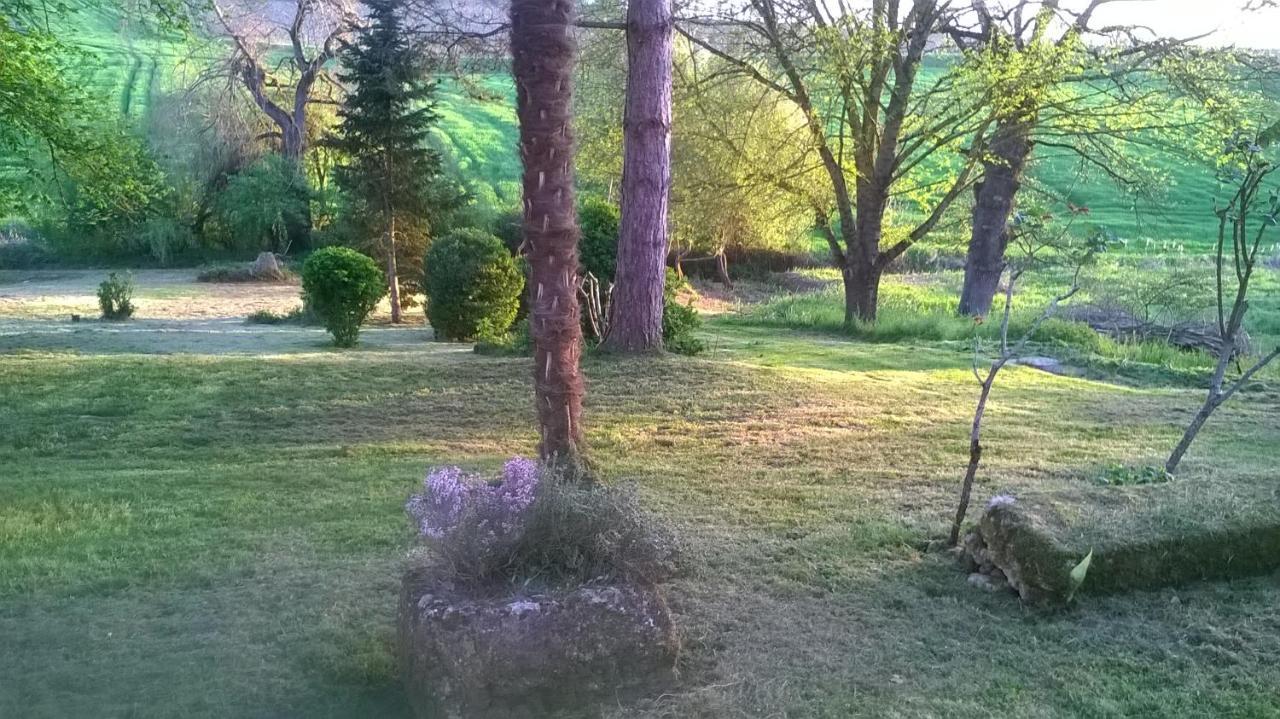 Le Logis du Pradet — Unknown City — photo 2