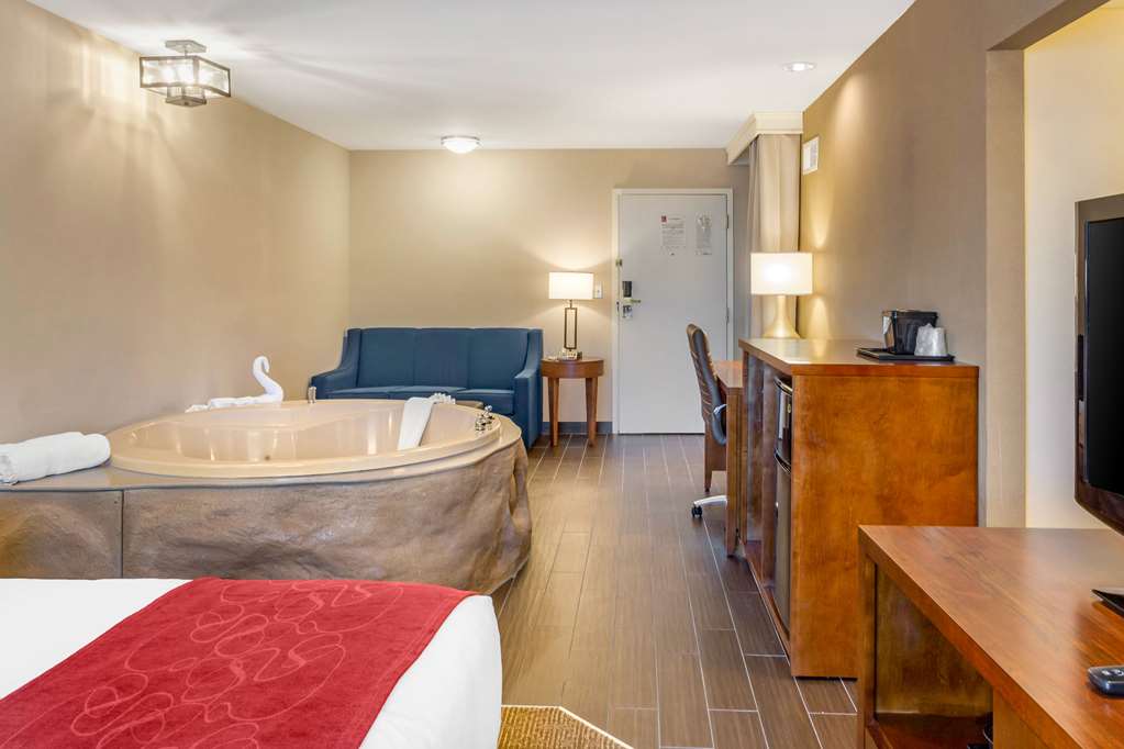 Comfort Suites Oakbrook Terrace near Oakbrook Center - photo 9