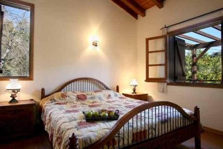 Z&X Holiday Villas