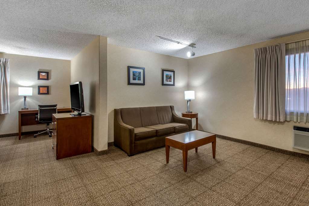 Comfort Inn Denver Southeast Area - photo 25