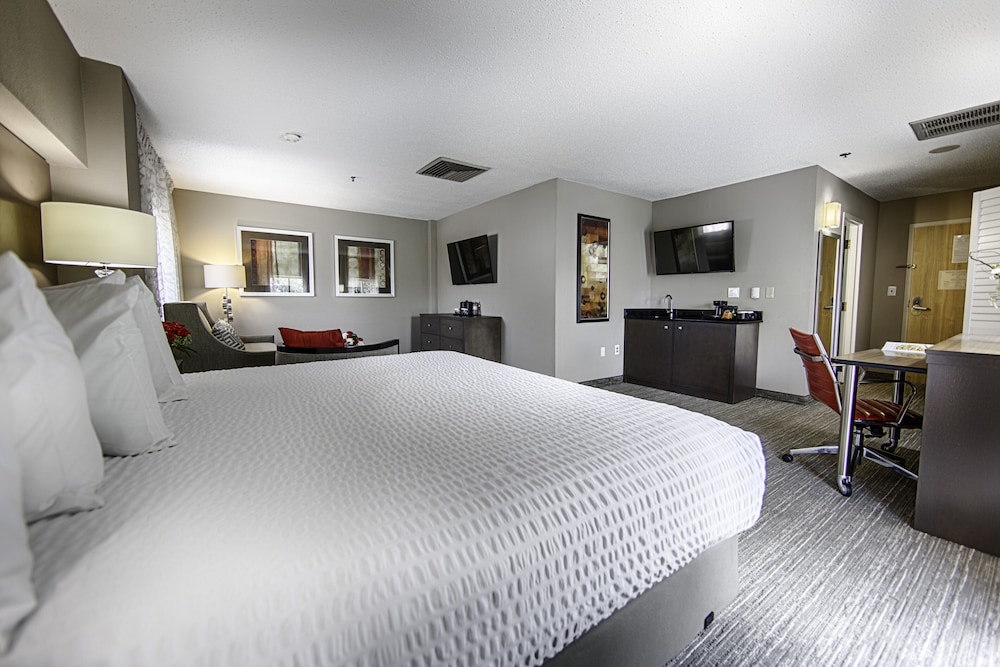Hotel Capstone - photo 8