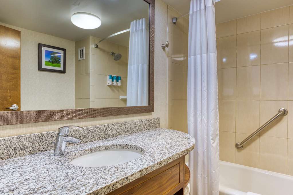 Drury Inn & Suites St. Louis Collinsville - photo 24