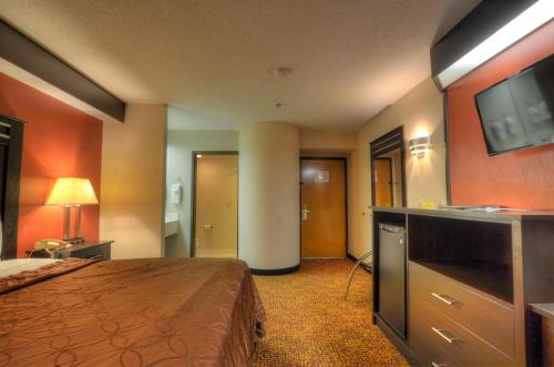 Smoky Mountain Inn & Suites - photo 26