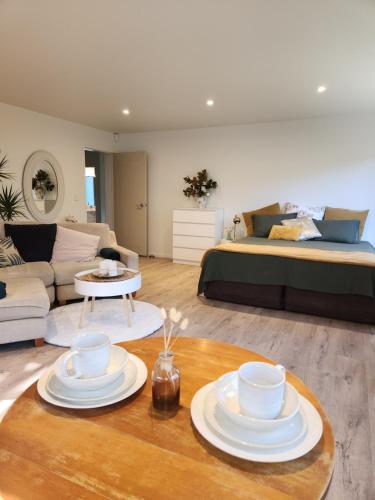 Hosts on the Coast Katz Korner in Whitianga, New Zealand