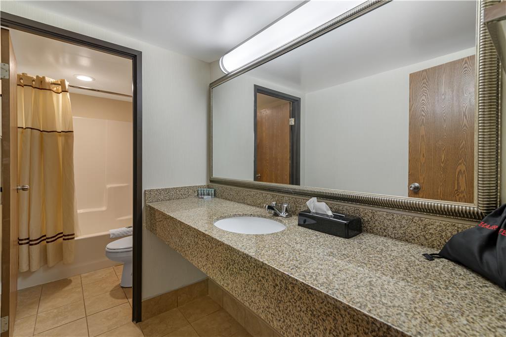 Best Western Royal Plaza Hotel & Trade Center - photo 68