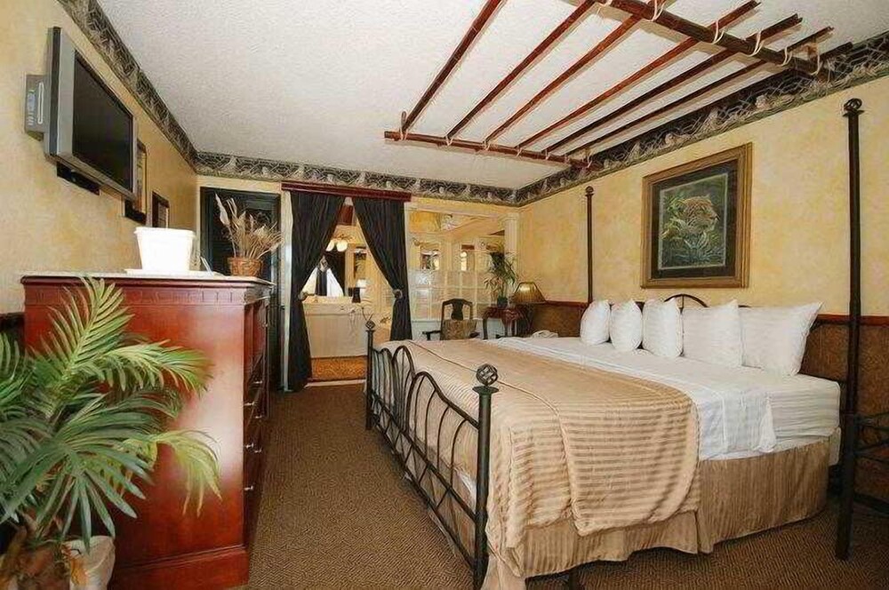 Best Western Music City Inn - photo 34