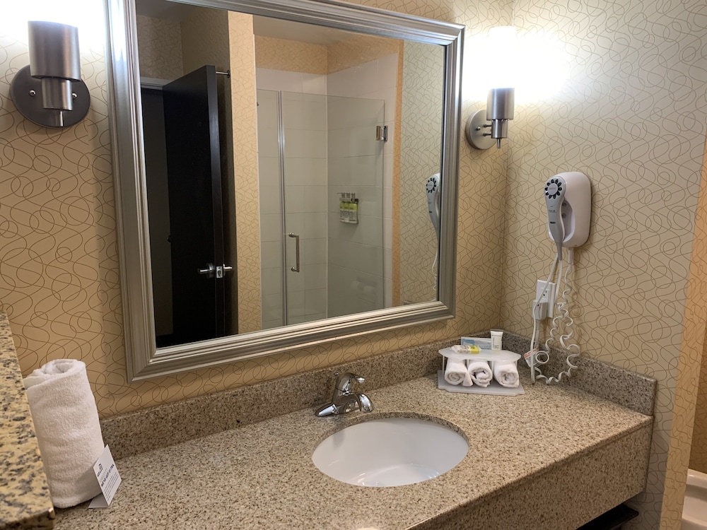 Holiday Inn Express Hotel & Suites Lansing Dimondale by IHG - photo 34