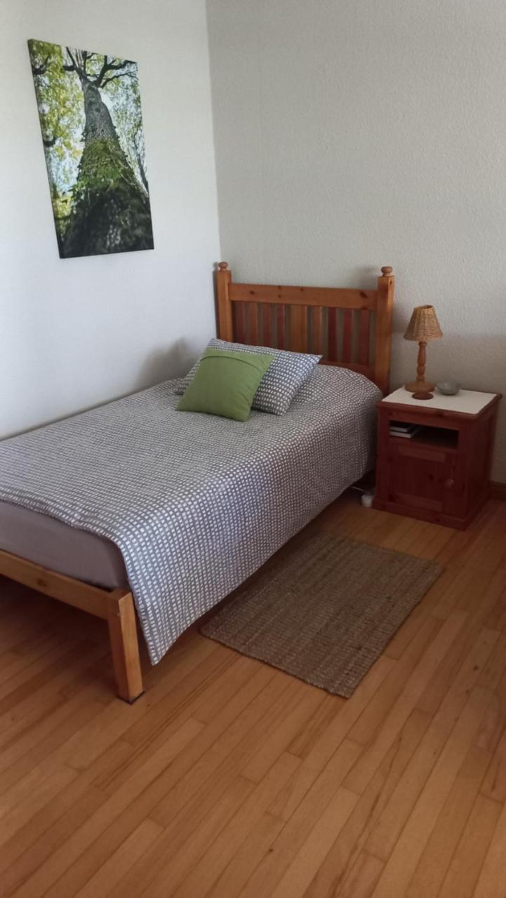 'The Cape Robin' studio apartment
