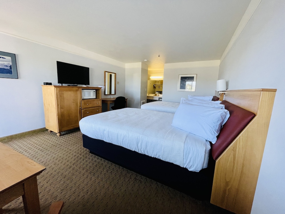 Seabird Lodge - photo 15
