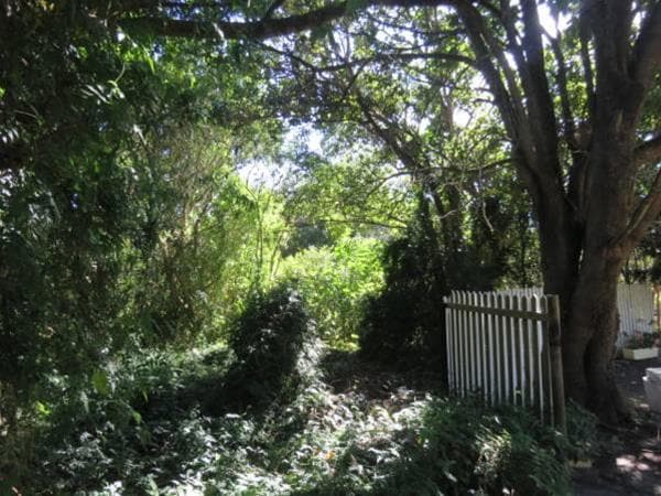 Tsitsikhaya Lodge — 4-Star Luxury Hotel in Port Alfred, South Africa