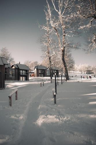 RentUp Explora la magia de San Martín de los Andes in San Martin De Los Andes, Argentina