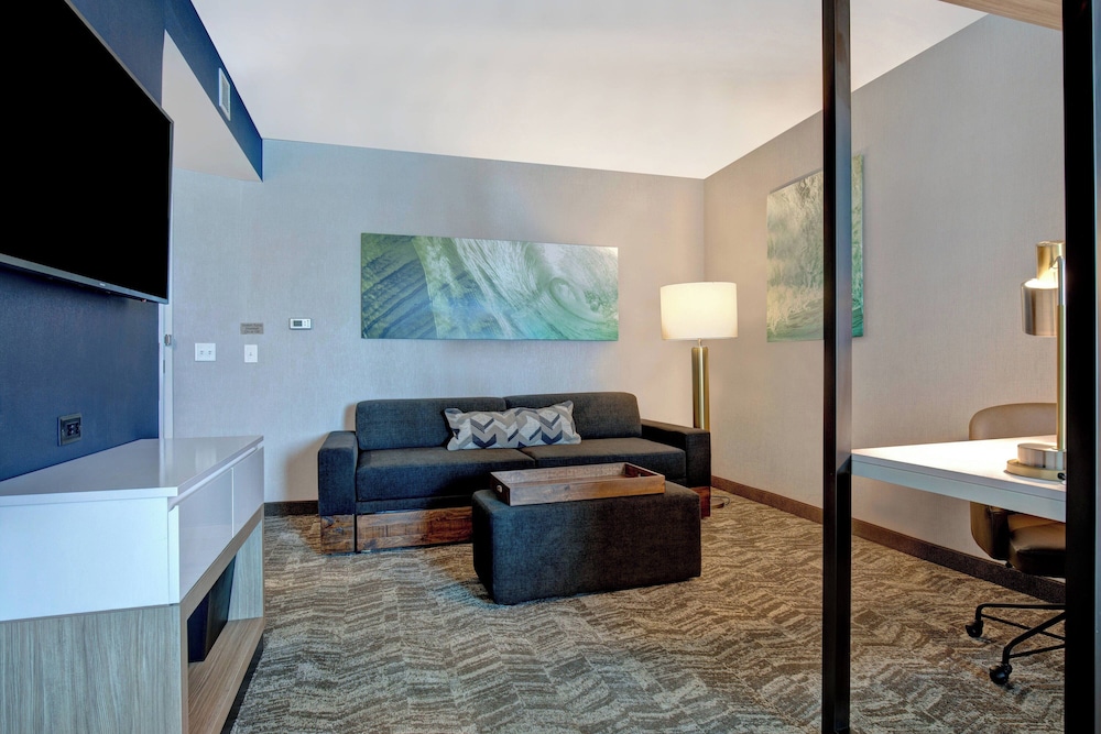 SpringHill Suites by Marriott Orangeburg - photo 10