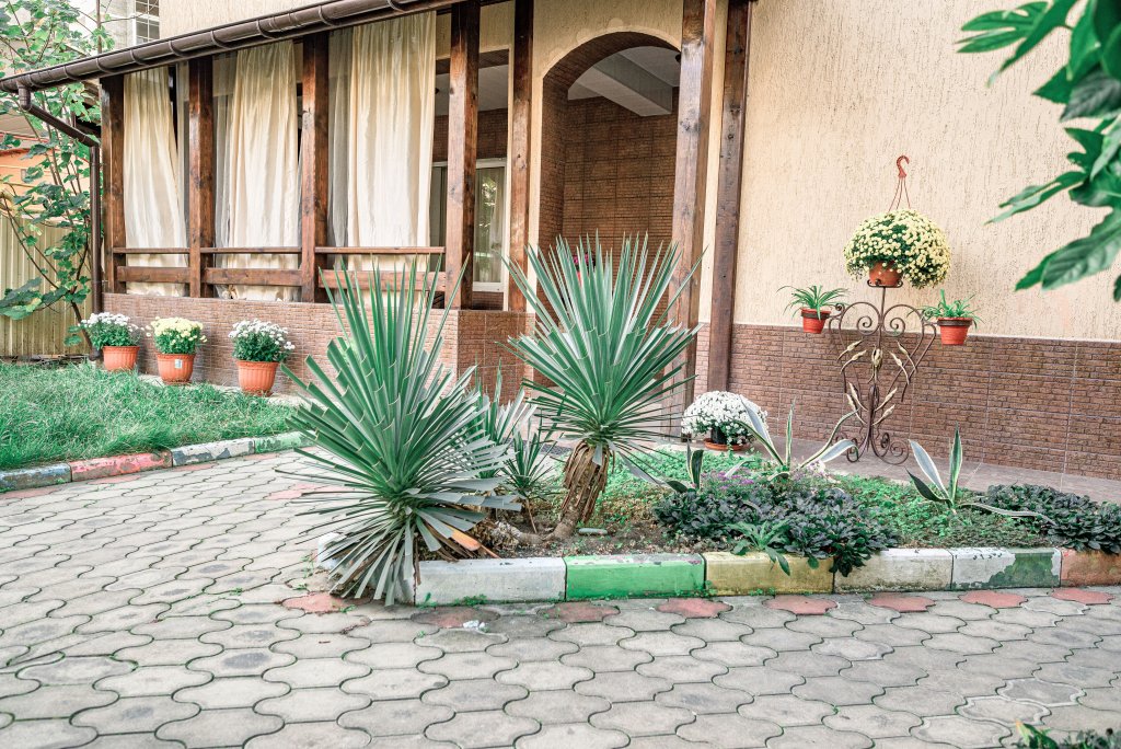 Gostevoy Dom Provans - last minute hotel in Sochi