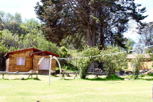 Cabañas Licanantay — Vallenar — photo 3
