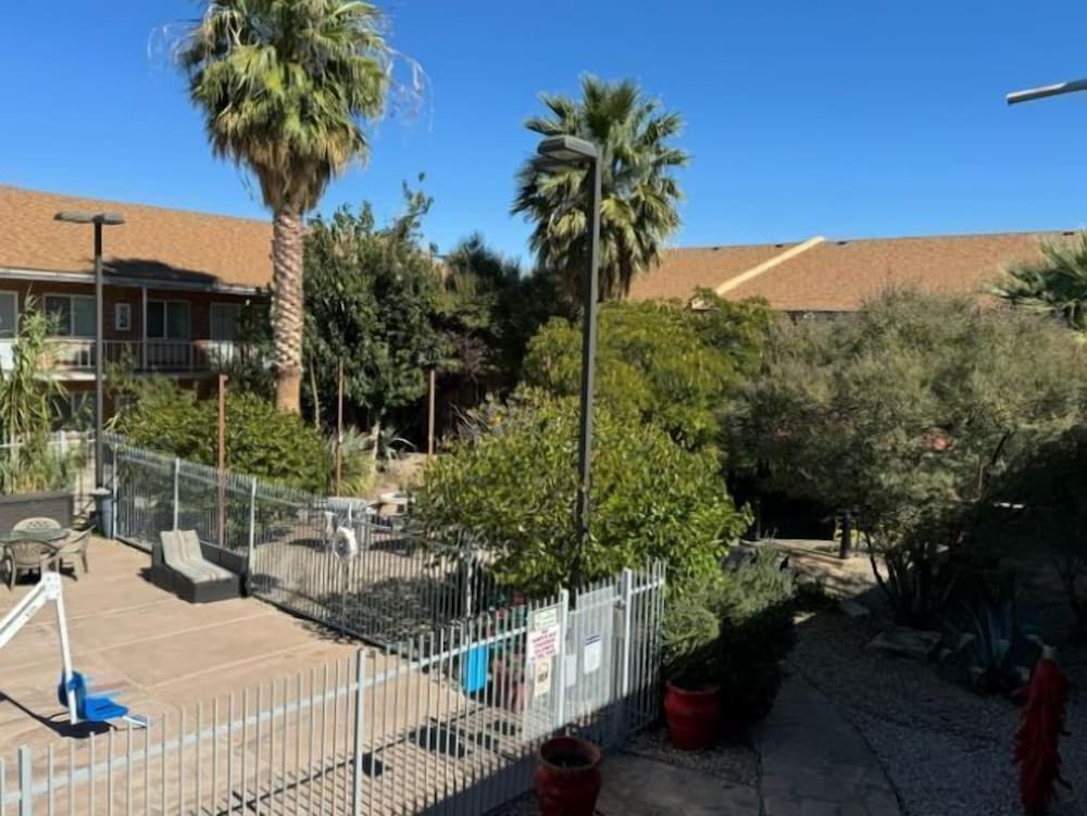 Big Chile Inn & Suites - photo 24