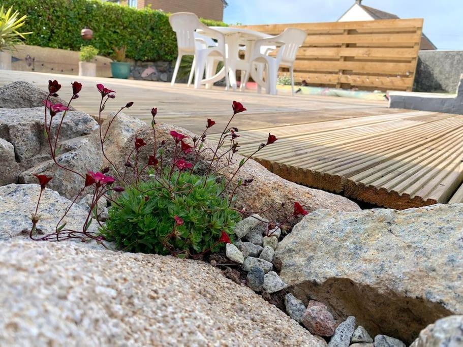 Rymer Leigh in Marazion, United Kingdom