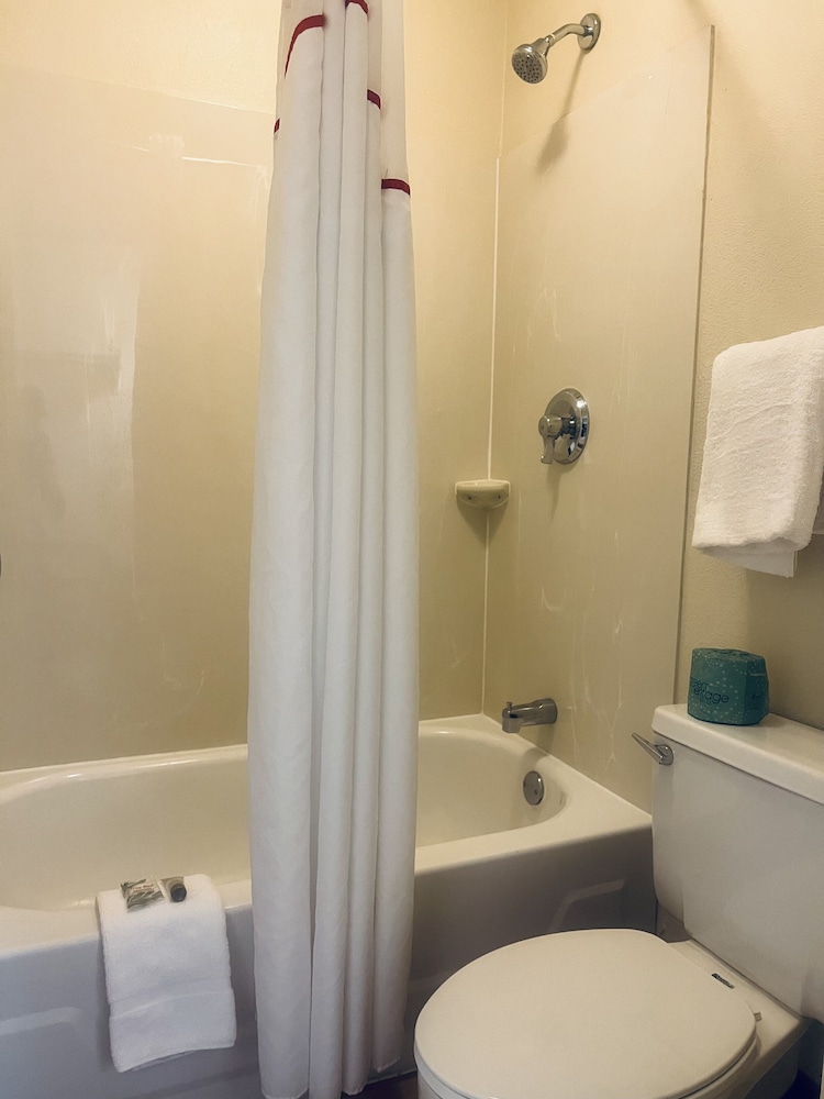 Red Roof Inn Buffalo Niagara Airport - photo 24