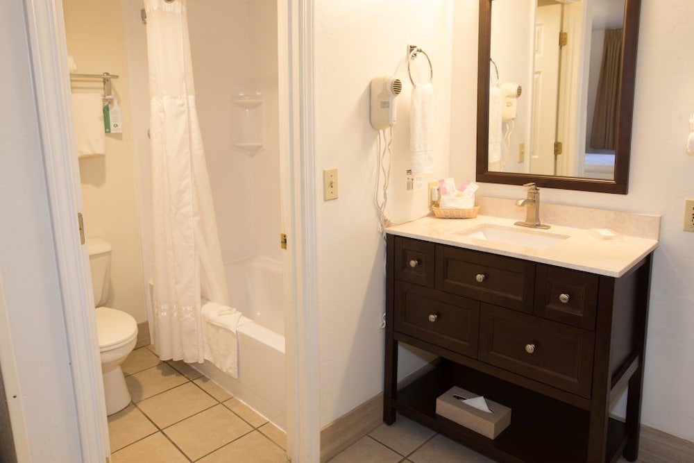 Pines Inn & Suites - photo 25