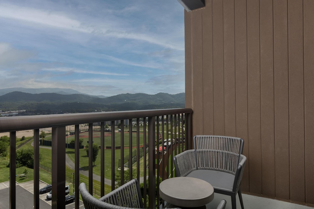 Embassy Suites by Hilton Pigeon Forge Resort - photo 18