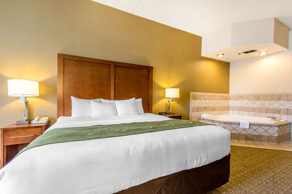 Comfort Suites Richmond - photo 24