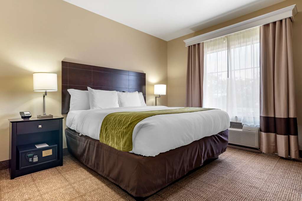 Comfort Inn & Suites Scott West Lafayette - photo 19